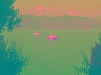 IMGP2628 edited (Medium)